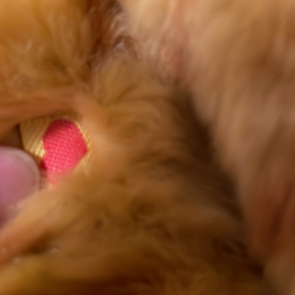 Vintage Build A Bear Floppy Kitty Striped Tabby Cat Stuffed Animal Plush Toy - Picture 4 of 8